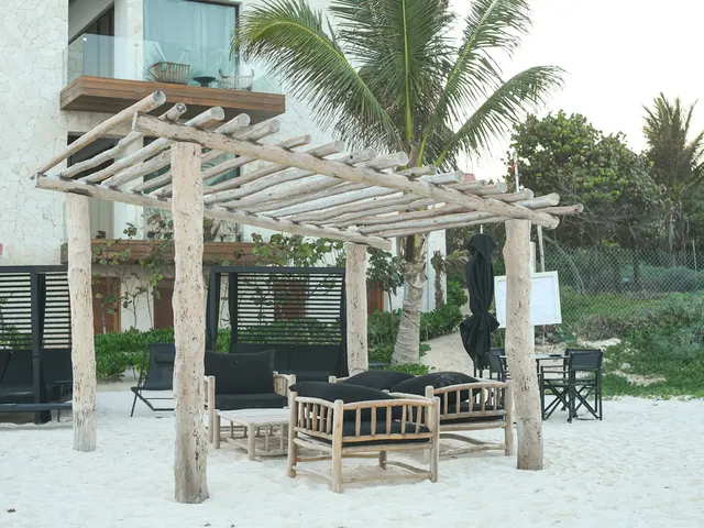 Pergola en rondins d'eucalyptus écorcé — salon d'extérieur esprit bois flotté